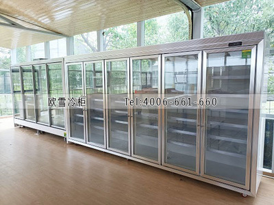農(nóng)產(chǎn)品展銷配送中心食品冷藏冷凍展示柜選購(gòu)指南與禮品花卉銷售策略