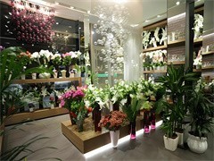 天津禮品花卉銷售 以花為禮，傳遞溫情與祝福