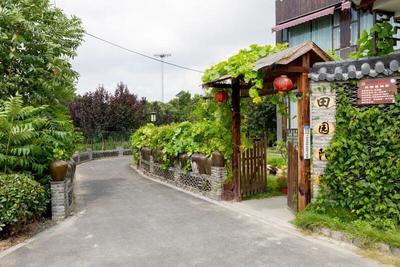 踐行“兩山”理念，大云鎮(zhèn)以花卉經(jīng)濟(jì)激活村集體發(fā)展新動(dòng)能